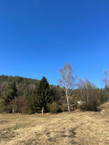 Prodej stavebního pozemku 5083 m² Všelibice - Chlístov
