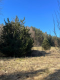 Prodej stavebního pozemku 5083 m² Všelibice - Chlístov