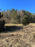 Prodej stavebního pozemku 5083 m² Všelibice - Chlístov