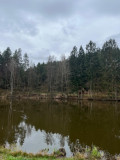 Prodej chalupy 150 m², pozemek 677 m² Janovice v Podještědí